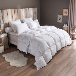 Dodo Couette Tradition CHAUDE - 70% Duvet d'Oie - 240/260 - Blanc