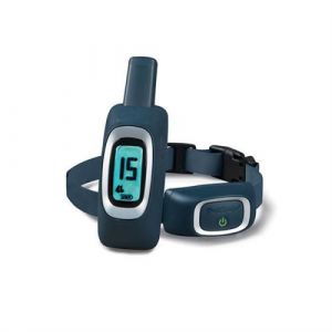 PetSafe Collier de Dressage avec télécommande digitale pour 2 Chiens portée de 900m Rec