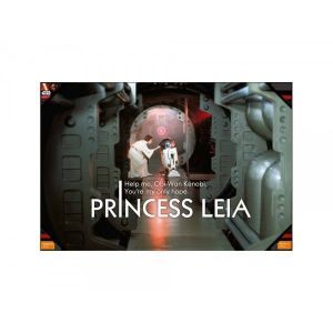 SD Toys Poster en verre Star Wars Leia Help Me (60 x 90 cm)