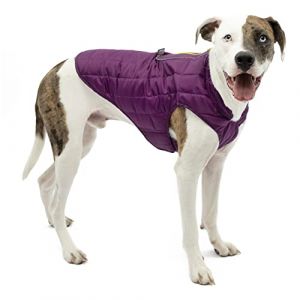 Kurgo Loft - Veste pour chien, manteau réversible pour chien par temps froid, violet - gris, grand