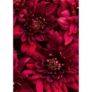 Ceanothe Tableau sur toile fleurs vives 100x140 cm