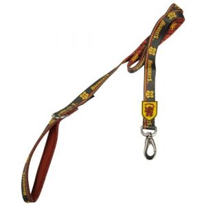 Laisse Premium pour Chiens Harry Potter - Jaune et Rouge - Taille M - Mousqueton pour Collier Inclus - Fabriquée en Polyester - Motif Gryffondor - Produit Original conçu en Espagne