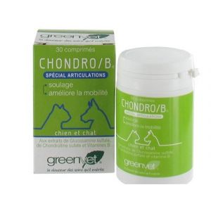 GreenVet Chondro/B 90 comprimés