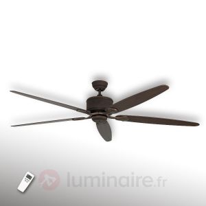 Casafan Eco Elements - Ventilateur de plafond cinq pales