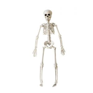 Widmann Squelette 3D -40 cm Multicolore
