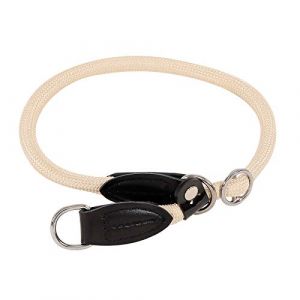 Lionto Hundehalsband - Retrieverhalsband