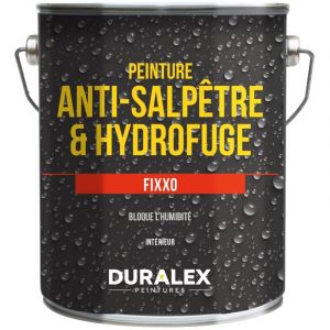 Duralex Peinture hydrofuge Fixxo 1kg - 110100503