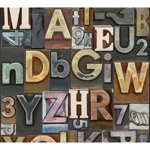 A.S. Creation Papier peint 300691 Pop.up Panel 2 - Marron - 2,50 x 0,35 m