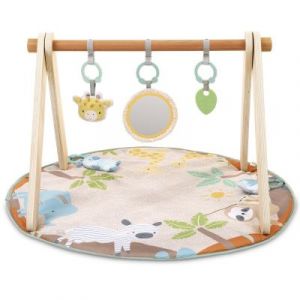 Ingenuity Tapis d'éveil avec arche en bois Tanner