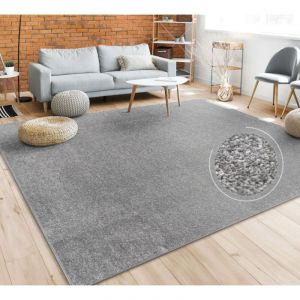 Tapis Salon Uni Sobre Et Moderne Poils Ras, Diff. Tailles/Coloris Anthracite, 200 cm carré - Paco Home