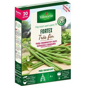 Vilmorin Graines Haricot Fortex Mangetout 20 m