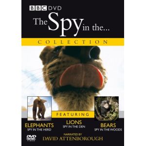 Image de Spy in the...