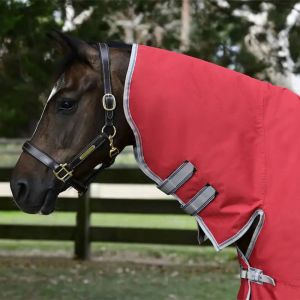 Weatherbeeta Couverture d'extérieur pour cheval couvre-cou Comfitec Classic 50 g