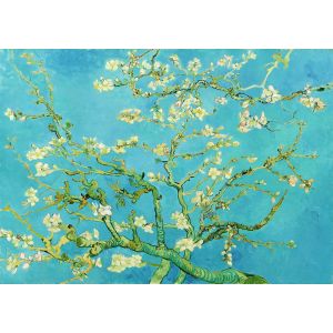 Vincent Van Gogh : Fleur d'amandier