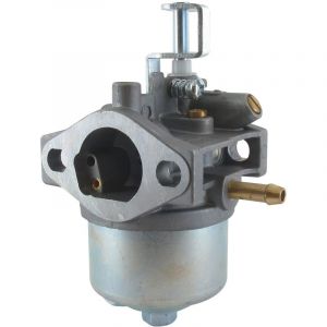 Universel Carburateur LONCIN - TREX pour modèles Y100V