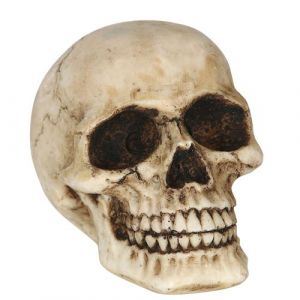 TÊTE MORT RÉSINE 8CM DECORS DE TABLE HALLOWEEN Beige