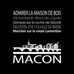 Artis Toile 30x30 macon noir