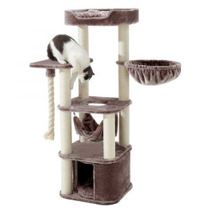 Arbre &agrave; chat classique Nobby Pet Zada