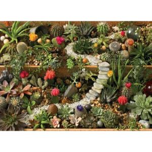 Cobble hill Succulent Garden