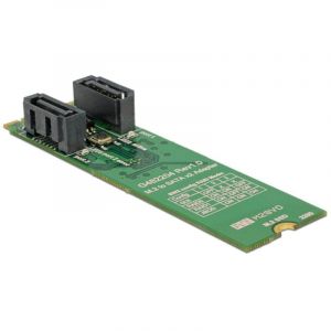 Delock Carte d'interface 62961 M.2 vers 2 SATA 6 Gbit/s RAID