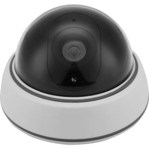 Link2home Caméra factice Dôme