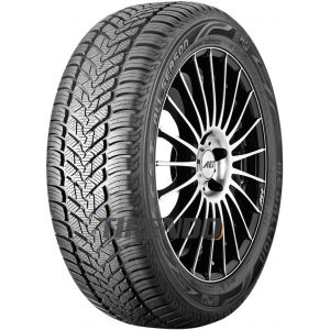 CST Medallion All Season ACP1 (205/55 R17 95V XL )