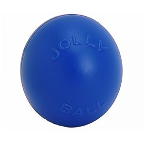 Jolly Pets Ball Push-n-Play Jouet pour Chien Bleu 25 cm