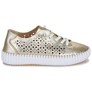 Yokono Baskets basses SINTRA Doré - Taille 38,39,40