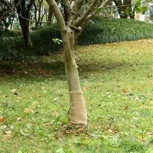 VidaXL Rouleau de jute 0,25x25 m 100 % jute 200 g/m²