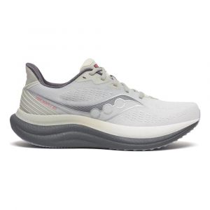 Saucony Triumph 23 Chaussure De Running Sans Stabilisateurs Hommes - Gris, Gris, Pointure 42.5