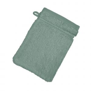 Lot de 2 gants de toilette 15x21 vert de gris en coton