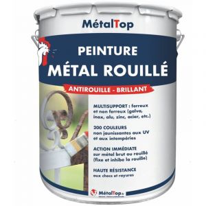 Peinture Metal Rouille - Bleu gris - RAL 5008 - Pot 1L