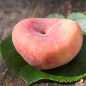 Pêcher persica Saturne C10L Gobelet 2 ans