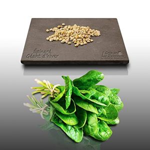 250 Graines &Agrave; Semer - Le Grenier D'abondance - Epinard G&eacute;ant D'hiver - Spinacia Oleracea