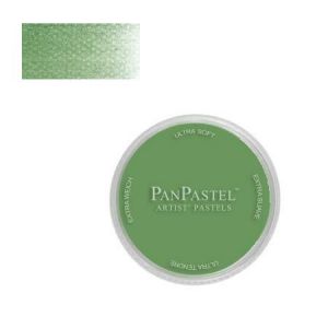 Panpastel Pastel en godet 9 ml 660.5 - Oxyde de chrome