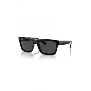 Ray-Ban Warren RB4396 667787 57
