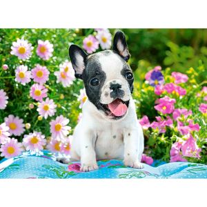 Castorland Puzzle 70 pièces : Chiot Bouledogue Français