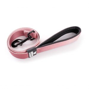 Martin Sellier Laisse pour chien nylon M