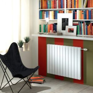 Acova SHXD-060-088 Fassane horizontal double 923 Watts - Radiateur eau chaude 12 éléments