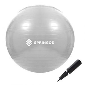 Boule de r&eacute;&eacute;ducation de 75 cm pour exercices gymnastiques avec pompe de fitness, de couleur grise.