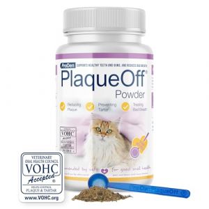 GRAU L’original PlaqueOff Poudre Naturelle De Soin Dentaire Pour Chats, Protège De La Mauvaise Haleine, Lutte Contre Le Tartre Et La Plaque, Lot De 1 (1 x 40 g), Complément Alimentaire Pour Chats