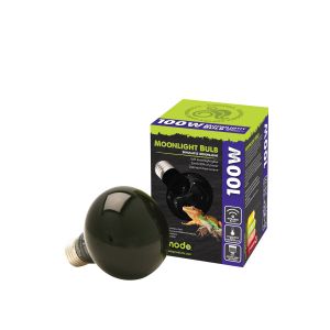 Komodo Lampe pour terrarium Nightglow Spot
