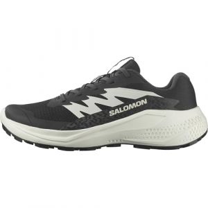 Salomon Chaussures Alphaglide noir blanc - 46(2/3)