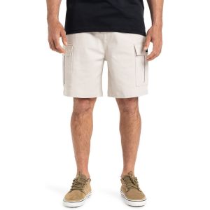 Quiksilver Taxer 19" - Short de marche cargo pour Homme Gris - Taille M
