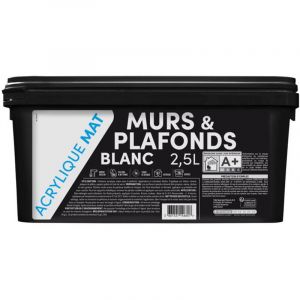 Tdp Murs&plaf. Mat Acryl. 2.5l