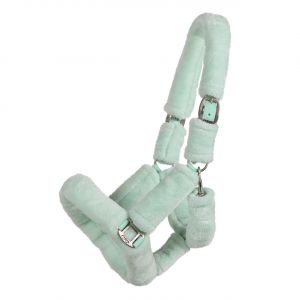 Image de Licol pour cheval QHP Alaska