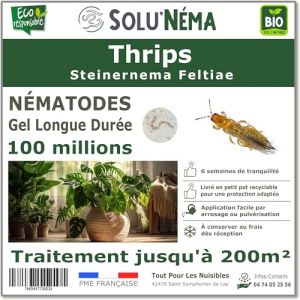 Solun&eacute;ma - Thrips - N&eacute;matodes (SF)-100 millions pour traiter jusqu'&agrave; 200 m&sup2;