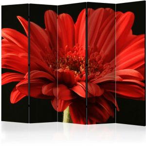 Artgeist Paravent 5 Volets "Red Gerbera Flower" 172x225cm