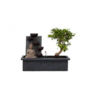 Bonsaï, Avec statue de Bouddha, 25cm