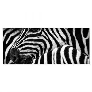 Image de HOMEMANIA Tableau Zebra 25 70 x 3 x 100 cm